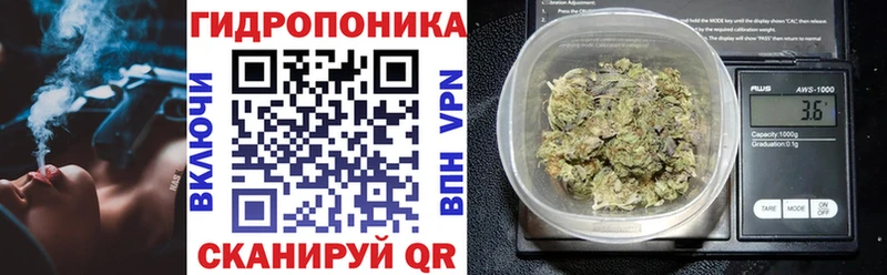 Галлюциногенные грибы Сургут