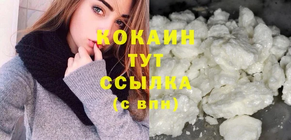 прущий лед Алзамай