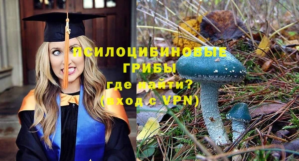 ALPHA PVP Алексеевка