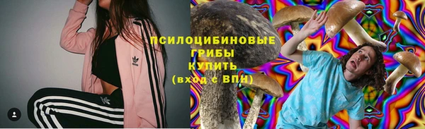 экстази Алексин